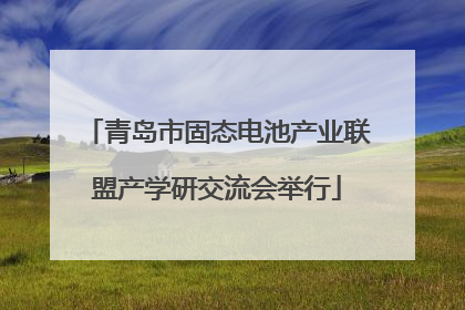青岛市固态电池产业联盟产学研交流会举行
