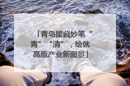 青岛援藏妙笔“青”“清”，绘就高原产业新图景