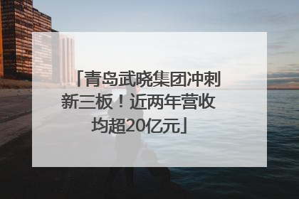 青岛武晓集团冲刺新三板！近两年营收均超20亿元