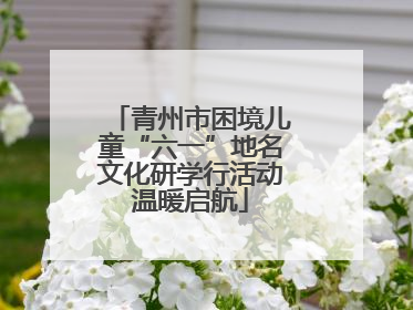 青州市困境儿童“六一”地名文化研学行活动温暖启航