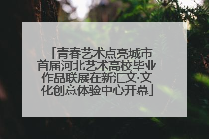 青春艺术点亮城市 首届河北艺术高校毕业作品联展在新汇文·文化创意体验中心开幕