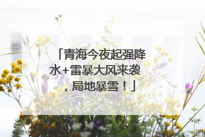 青海今夜起强降水+雷暴大风来袭，局地暴雪！