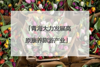 青海大力发展高原康养旅游产业