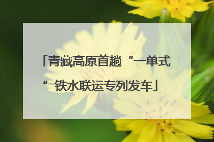 青藏高原首趟“一单式”铁水联运专列发车