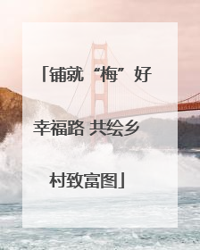 铺就“梅”好幸福路 共绘乡村致富图