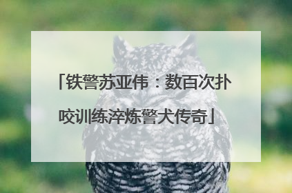 铁警苏亚伟：数百次扑咬训练淬炼警犬传奇
