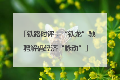 铁路时评：“铁龙”驰骋解码经济“脉动”