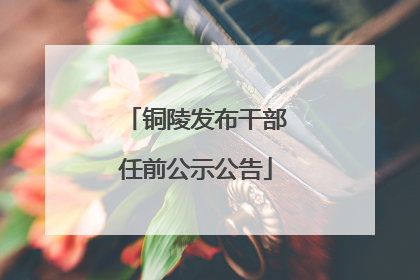 铜陵发布干部任前公示公告