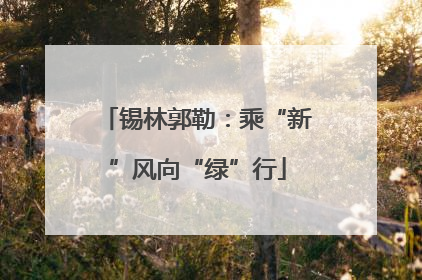 锡林郭勒：乘“新”风向“绿”行
