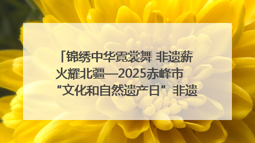 锦绣中华霓裳舞 非遗薪火耀北疆—2025赤峰市“文化和自然遗产日”非遗宣传展示活动纪实