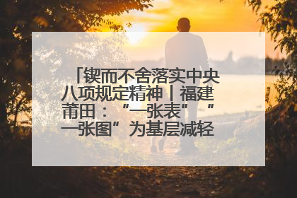 锲而不舍落实中央八项规定精神丨福建莆田：“一张表”“一张图”为基层减轻“数字负担”