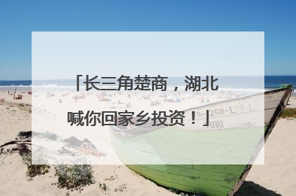 长三角楚商，湖北喊你回家乡投资！