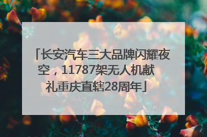 长安汽车三大品牌闪耀夜空，11787架无人机献礼重庆直辖28周年