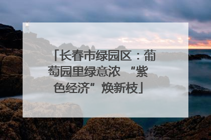 长春市绿园区：葡萄园里绿意浓 “紫色经济”焕新枝