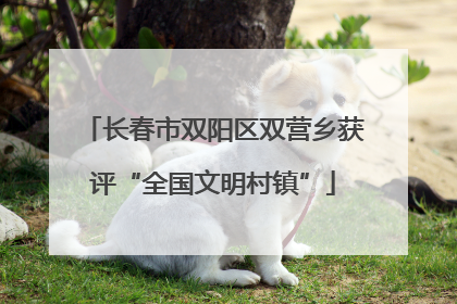 长春市双阳区双营乡获评“全国文明村镇”