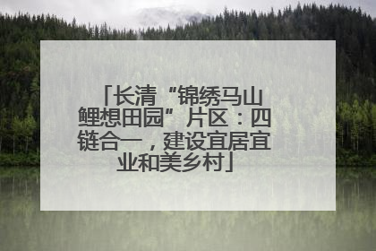 长清“锦绣马山 鲤想田园”片区：四链合一，建设宜居宜业和美乡村