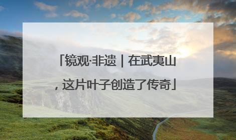 镜观·非遗｜在武夷山，这片叶子创造了传奇