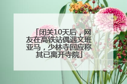闭关10天后，网友在高铁站偶遇文班亚马，少林寺回应称其已离开寺院