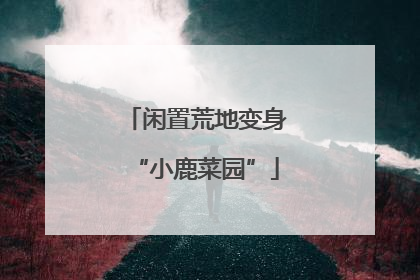 闲置荒地变身“小鹿菜园”