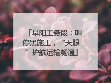 阜阳工务段：叫停黑施工，“天眼”护航运输畅通