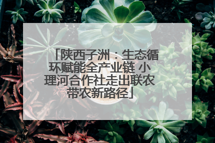 陕西子洲：生态循环赋能全产业链 小理河合作社走出联农带农新路径