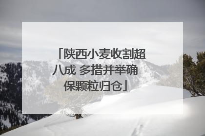 陕西小麦收割超八成 多措并举确保颗粒归仓