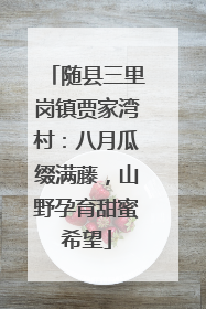 随县三里岗镇贾家湾村：八月瓜缀满藤，山野孕育甜蜜希望