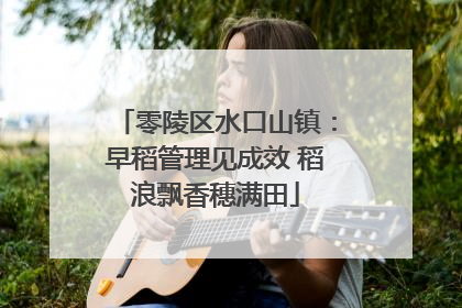 零陵区水口山镇：早稻管理见成效 稻浪飘香穗满田