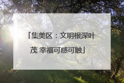 集美区：文明根深叶茂 幸福可感可触