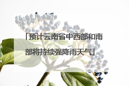 预计云南省中西部和南部将持续强降雨天气