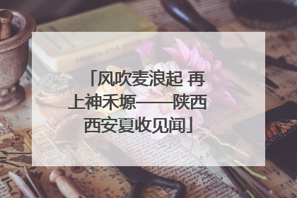 风吹麦浪起 再上神禾塬——陕西西安夏收见闻