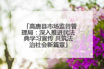 高唐县市场监督管理局：深入推进民法典学习宣传 共筑法治社会新篇章