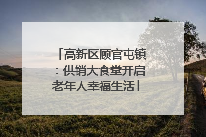 高新区顾官屯镇：供销大食堂开启老年人幸福生活