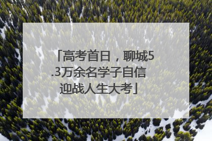 高考首日，聊城5.3万余名学子自信迎战人生大考