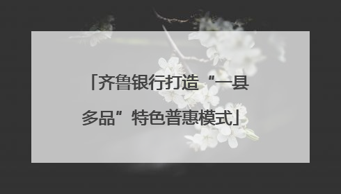 齐鲁银行打造“一县多品”特色普惠模式