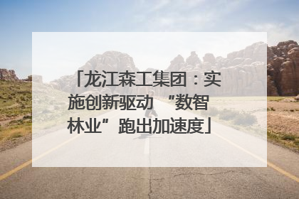 龙江森工集团：实施创新驱动 “数智林业”跑出加速度