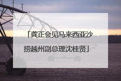 龚正会见马来西亚沙捞越州副总理沈桂贤