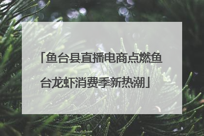 鱼台县直播电商点燃鱼台龙虾消费季新热潮
