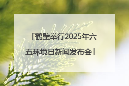 鹤壁举行2025年六五环境日新闻发布会