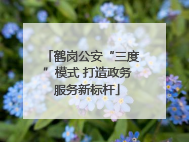 鹤岗公安“三度”模式 打造政务服务新标杆