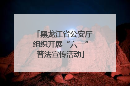 黑龙江省公安厅组织开展“六一”普法宣传活动