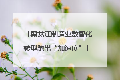 黑龙江制造业数智化转型跑出“加速度”