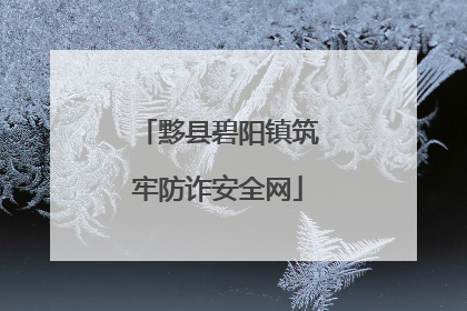 黟县碧阳镇筑牢防诈安全网