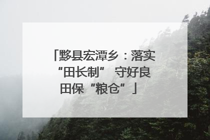 黟县宏潭乡：落实“田长制” 守好良田保“粮仓”