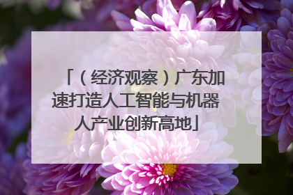 （经济观察）广东加速打造人工智能与机器人产业创新高地