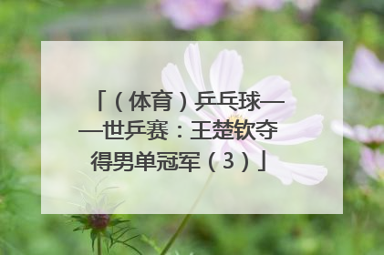 （体育）乒乓球——世乒赛：王楚钦夺得男单冠军（3）