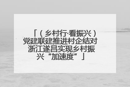 （乡村行·看振兴）党建联建推进村企结对 浙江遂昌实现乡村振兴“加速度”