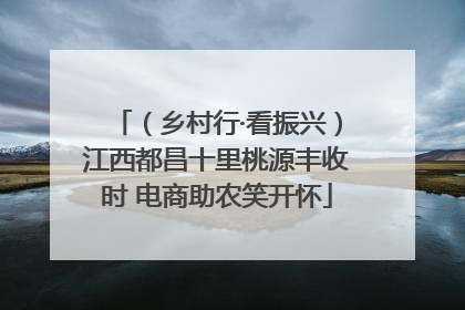 （乡村行·看振兴）江西都昌十里桃源丰收时 电商助农笑开怀