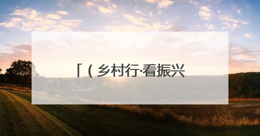 （乡村行·看振兴）江西靖安“小”浆果助绘乡村振兴“莓”好“蓝”图