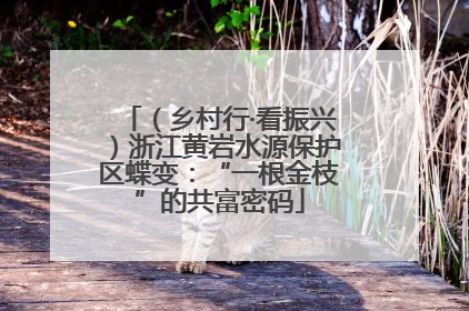 （乡村行·看振兴）浙江黄岩水源保护区蝶变：“一根金枝”的共富密码